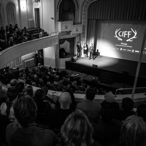 Camden International Film Festival