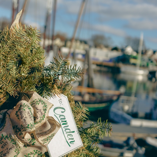 Christmas By the Sea, Camden Maine