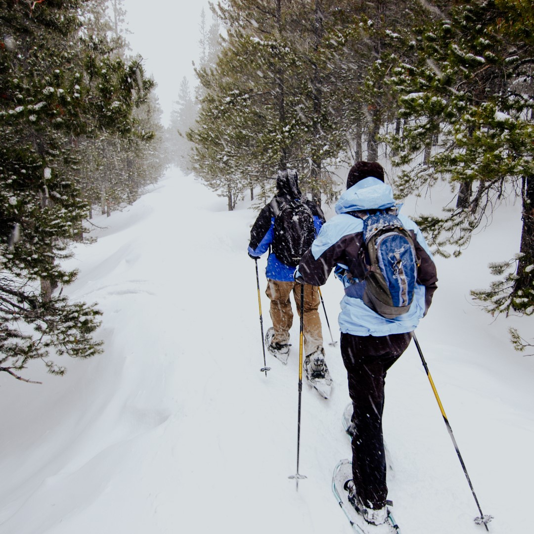 Top 5 Winter Activities in Midcoast Maine