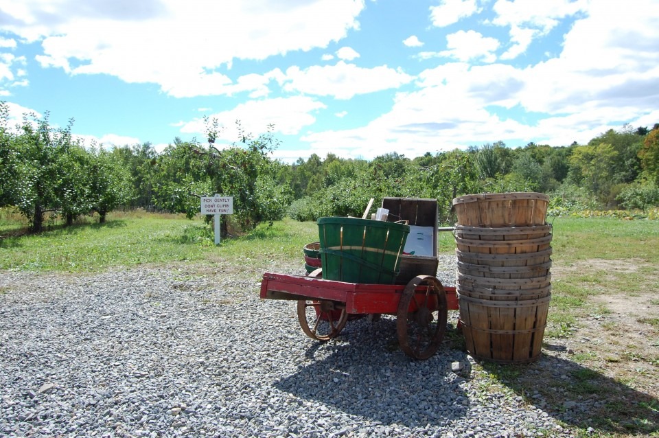 hope orchards